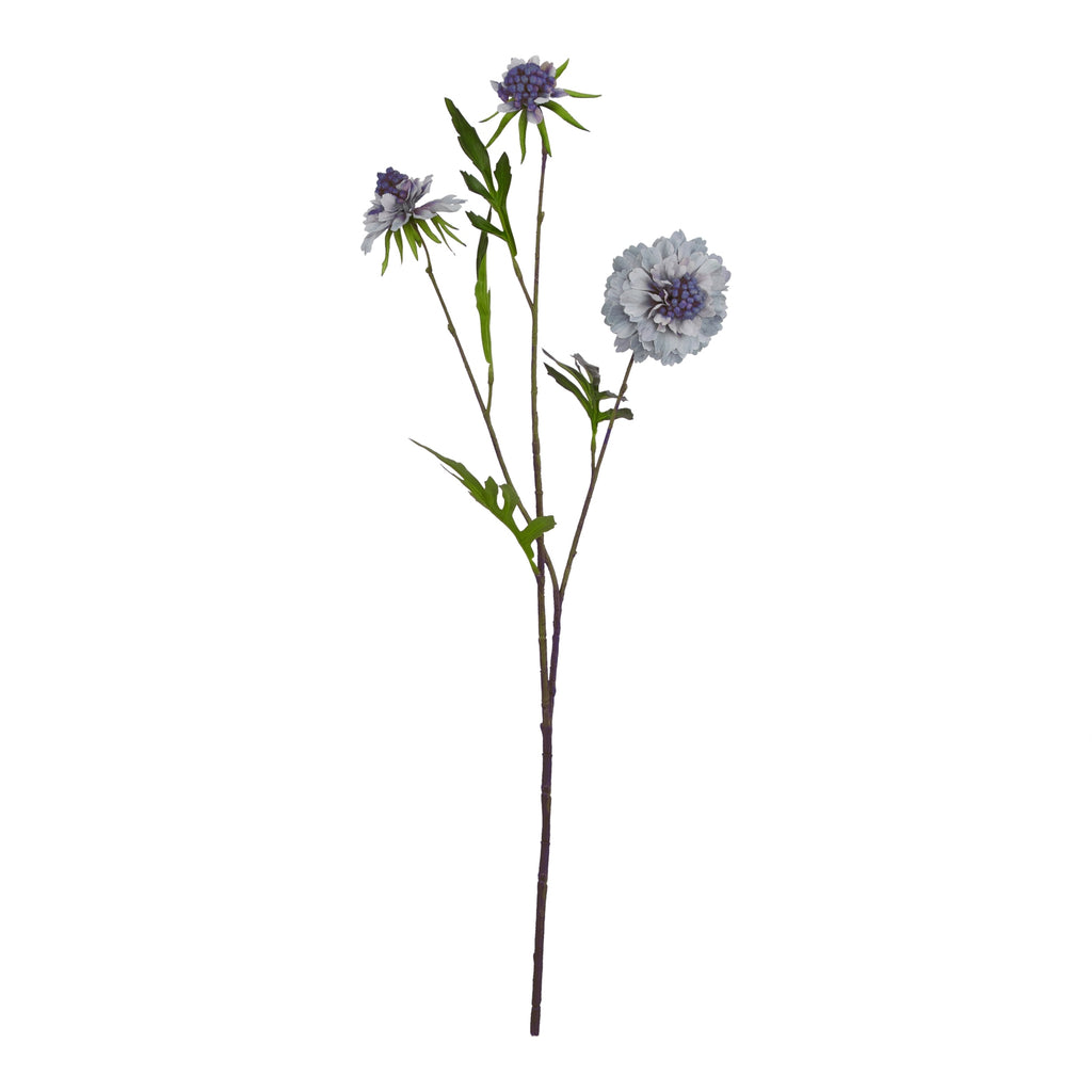 Pale Blue Scabious Stem - Blue