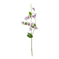 Natural Garden Collection Purple Sweetpea Stem