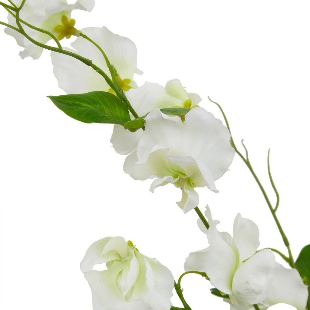 Natural Garden Collection White Sweetpea Stem - White