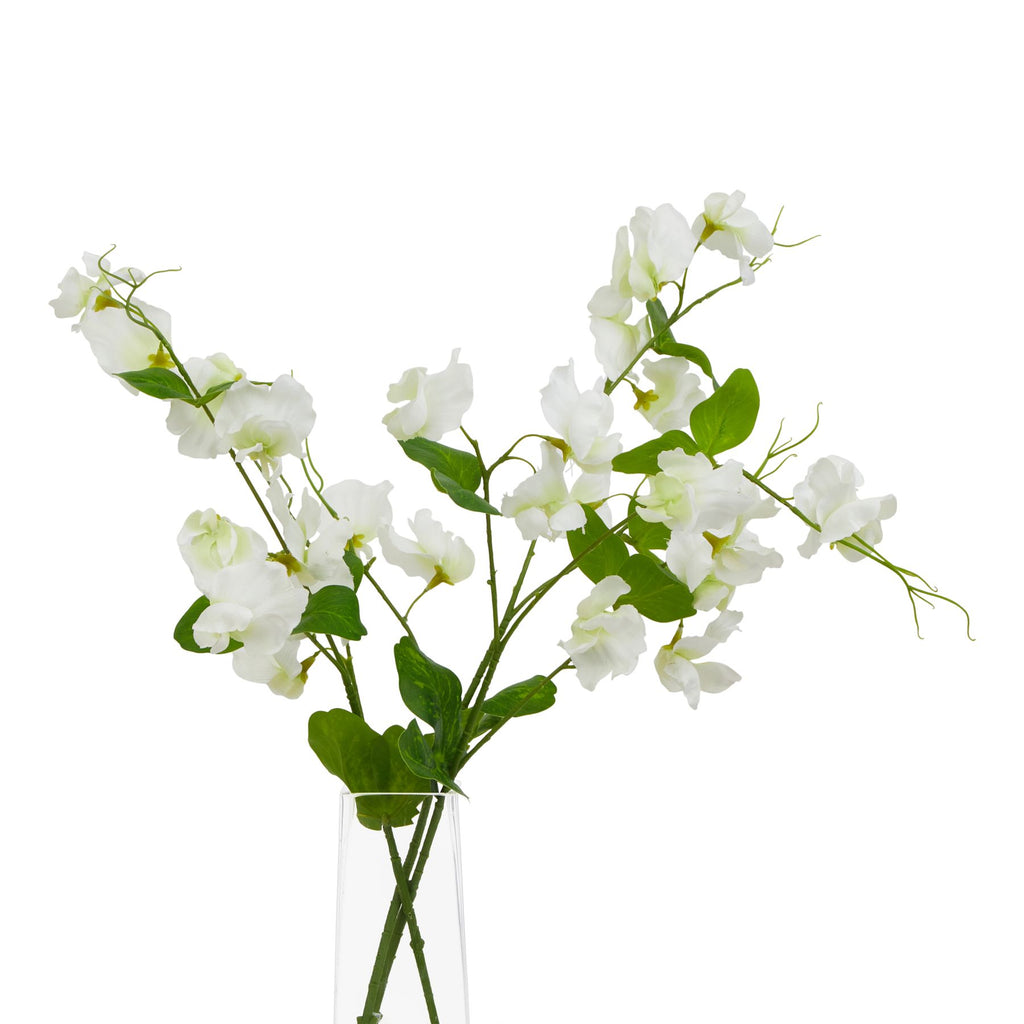 Natural Garden Collection White Sweetpea Stem - White