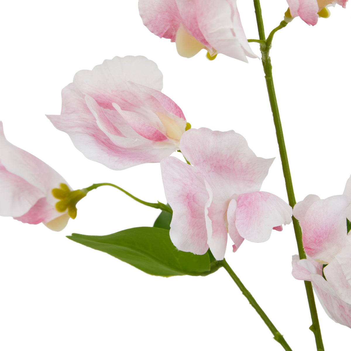 Natural Garden Collection Pale Pink Sweetpea Stem - Pink