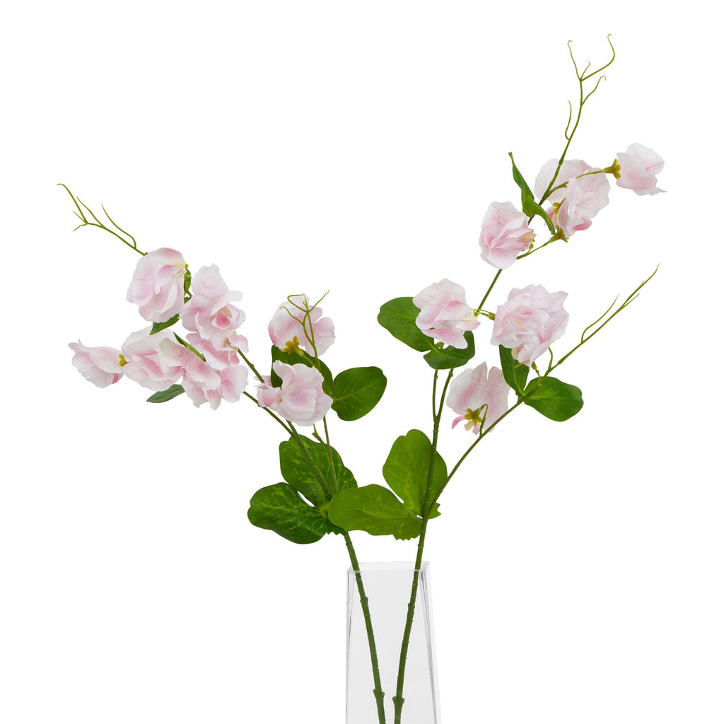 Natural Garden Collection Pale Pink Sweetpea Stem - Pink