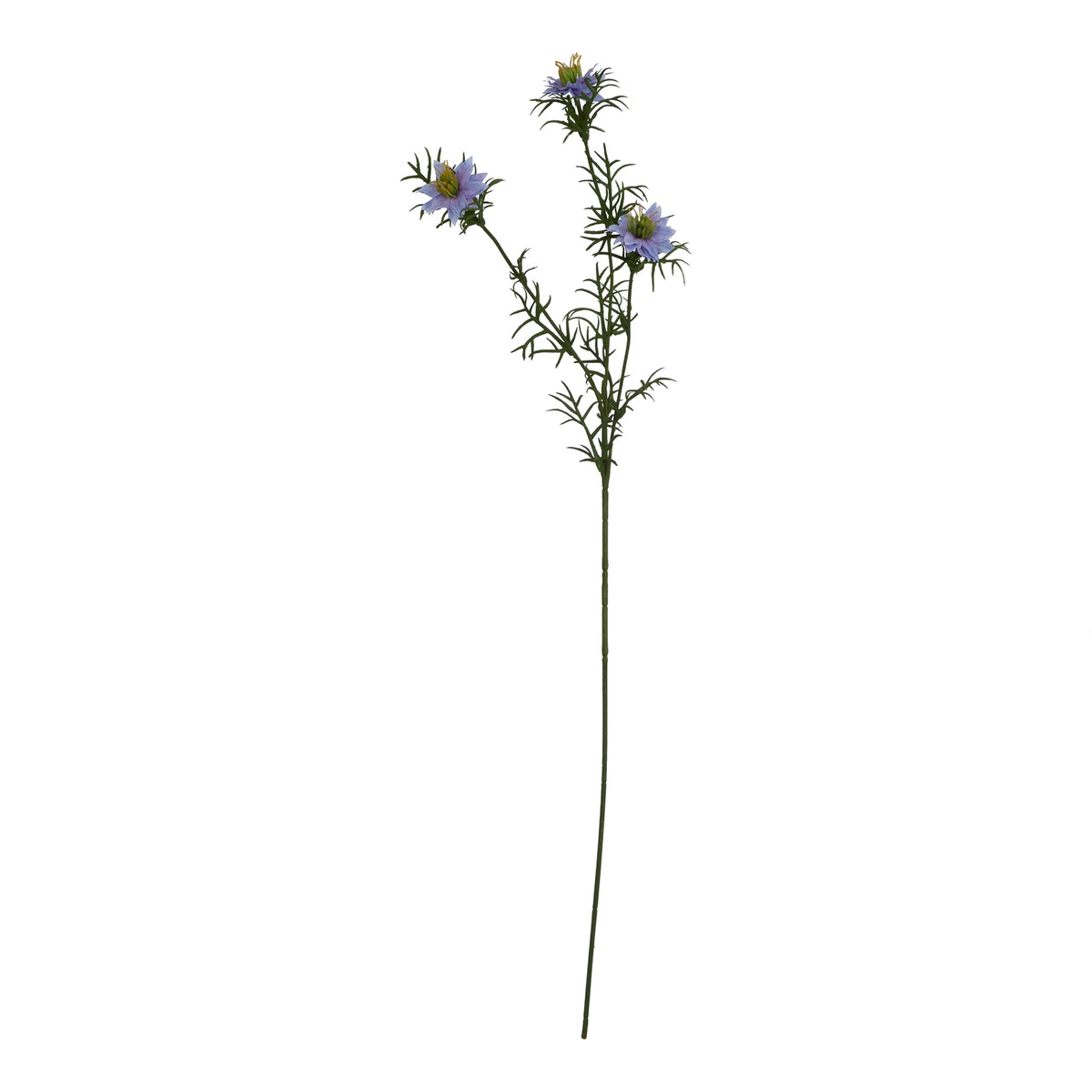 Natural Garden Collection Purple Nigella Love In A Mist - Purple