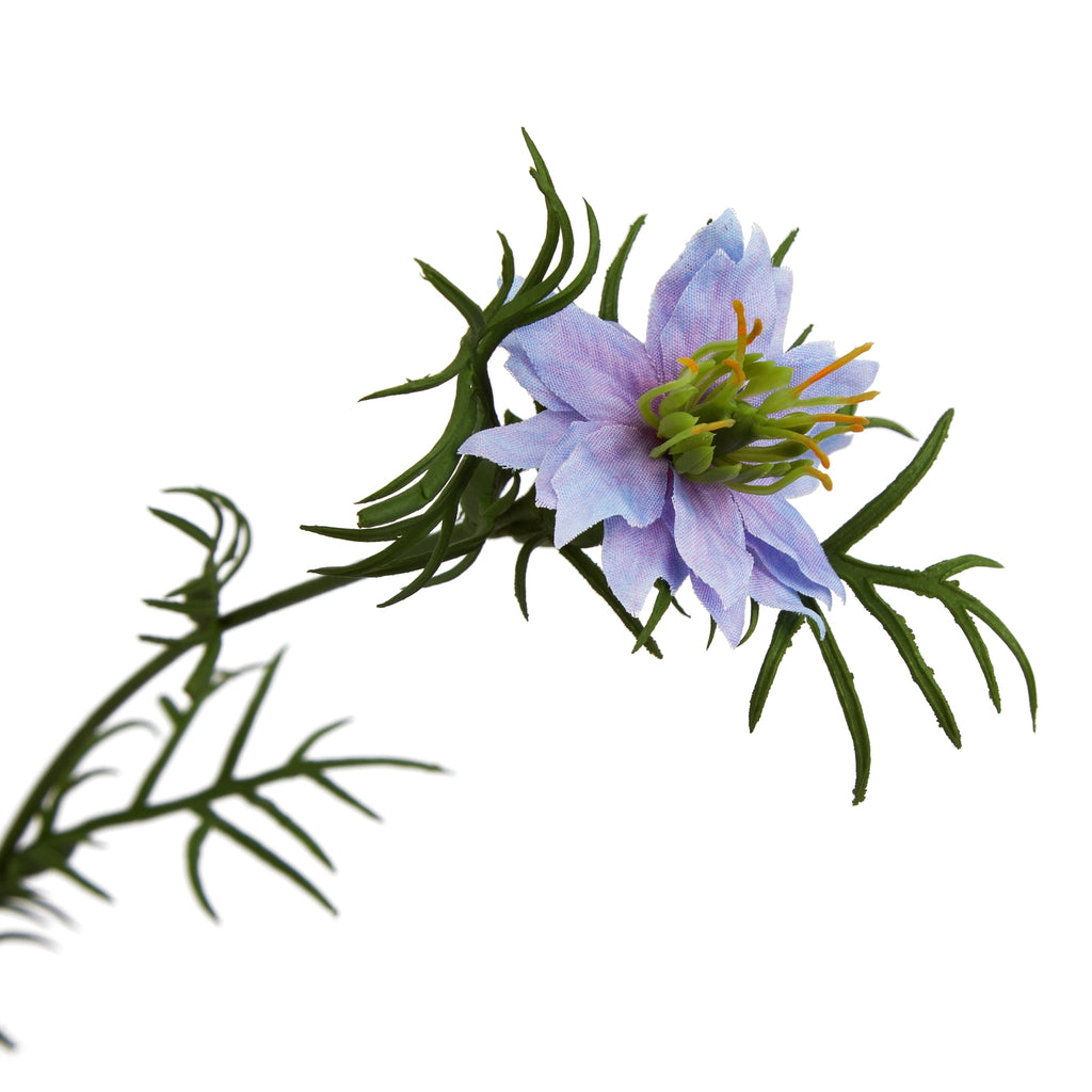 Natural Garden Collection Purple Nigella Love In A Mist - Purple