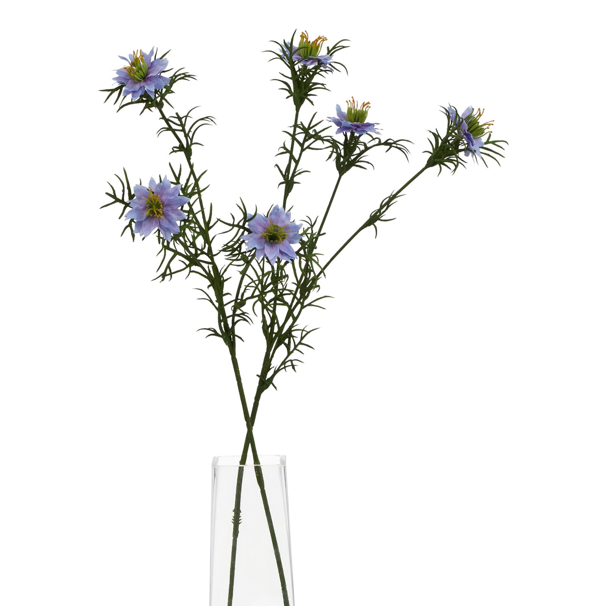 Natural Garden Collection Purple Nigella Love In A Mist - Purple