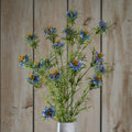 Natural Garden Collection Purple Nigella Love In A Mist