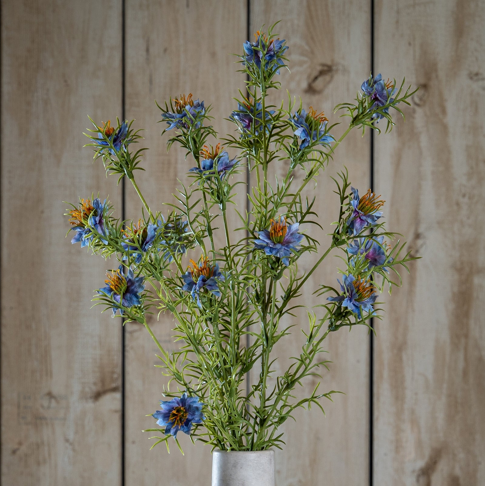 Natural Garden Collection Purple Nigella Love In A Mist