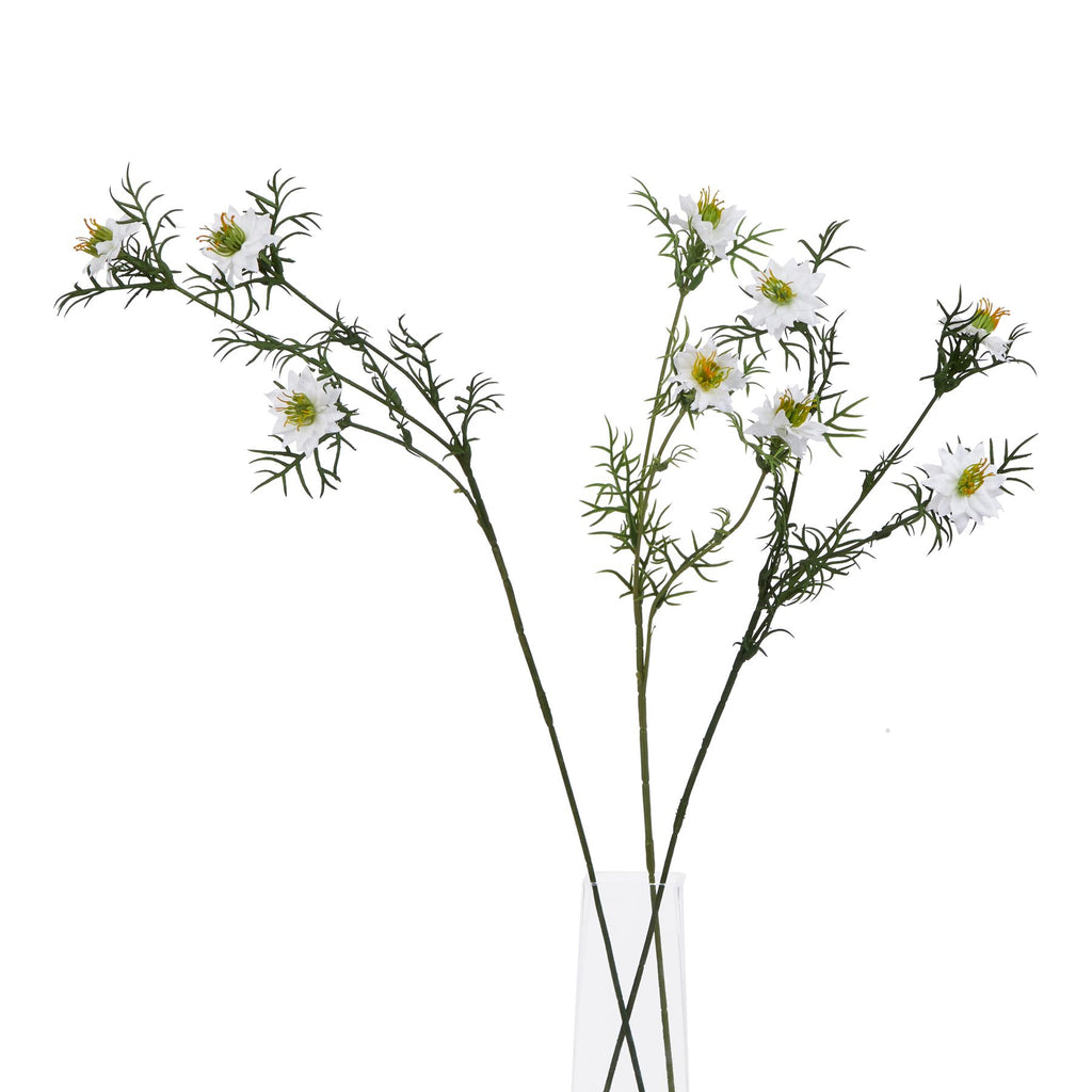 Natural Garden Collection White Nigella Love In A Mist - White
