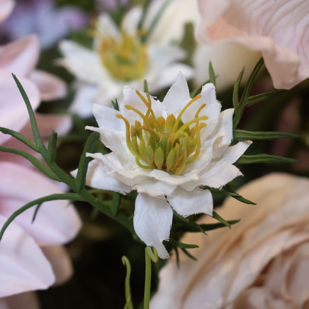 Natural Garden Collection White Nigella Love In A Mist - White