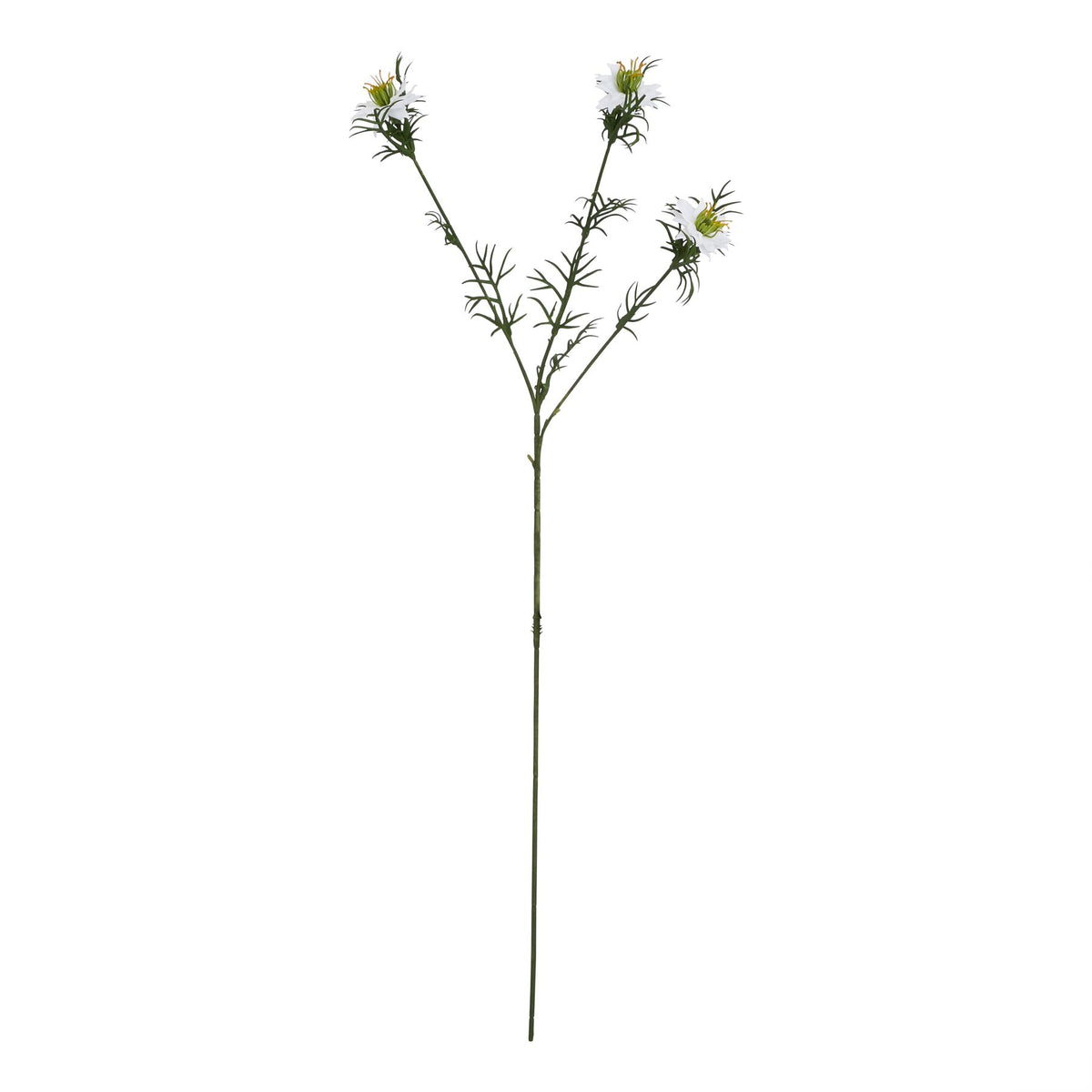 Natural Garden Collection White Nigella Love In A Mist - White