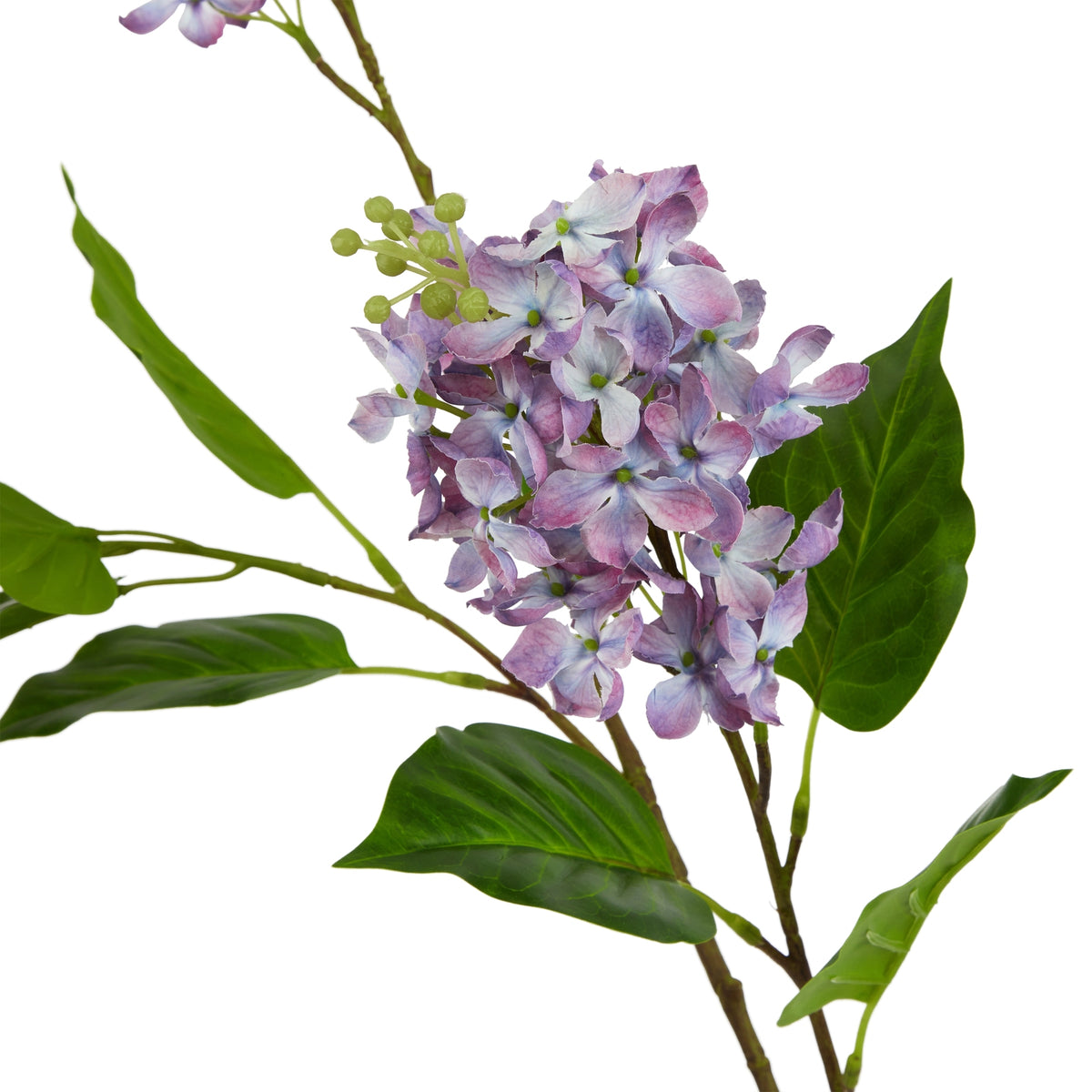 Natural Garden Collection Purple Lilac Stem - Purple