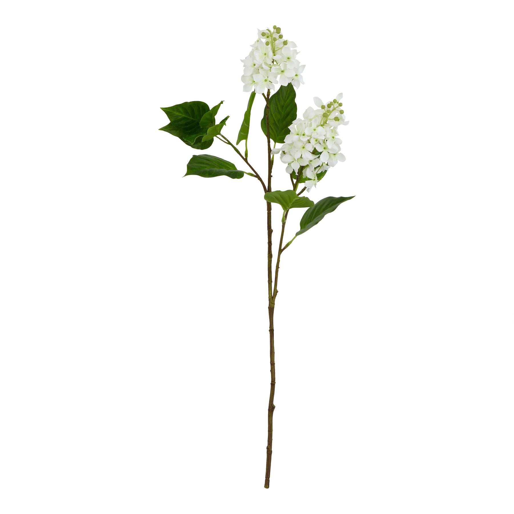 Natural Garden Collection White Lilac Stem