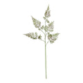 Natural Garden Collection Large Bracken Fern Spray