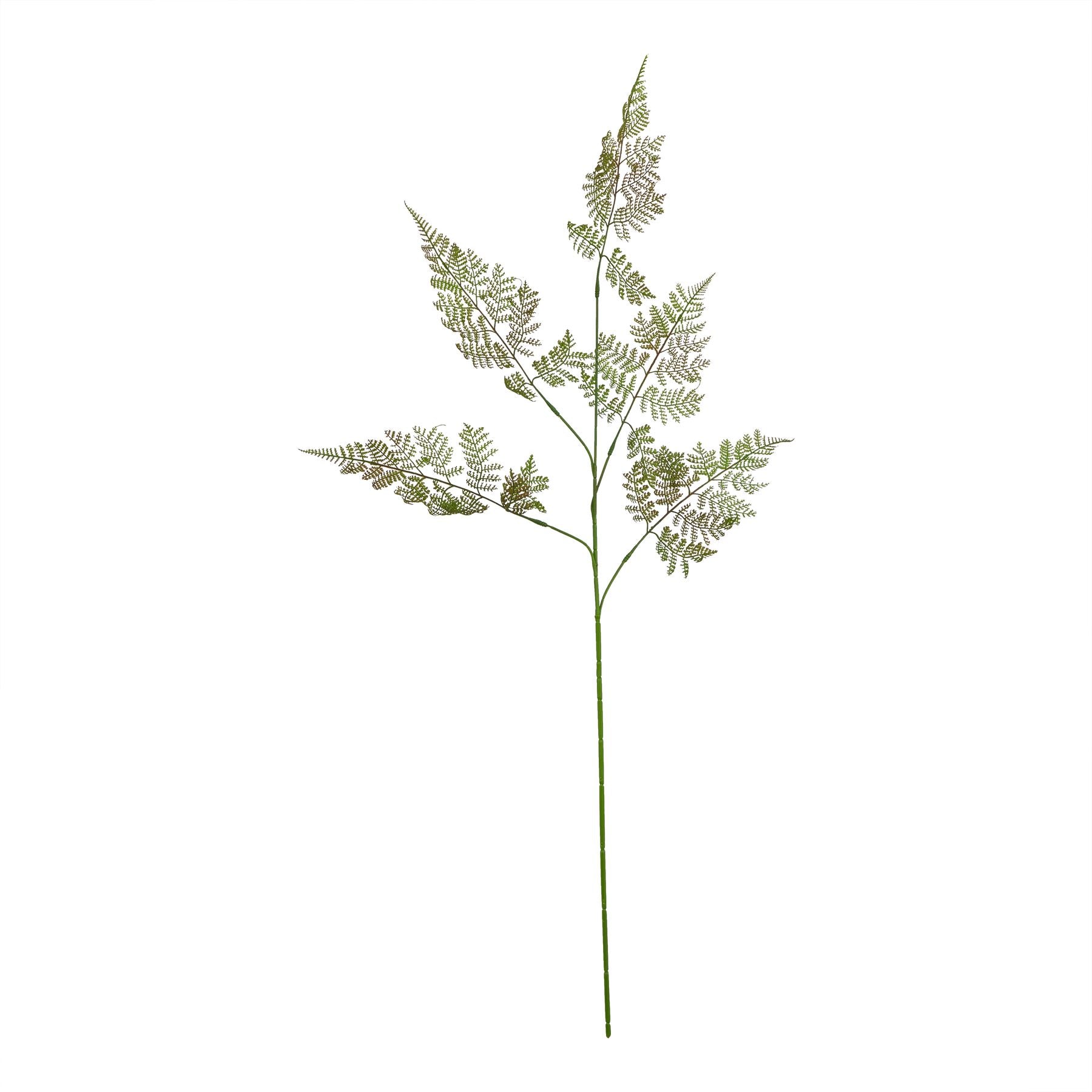 Natural Garden Collection Large Bracken Fern Spray