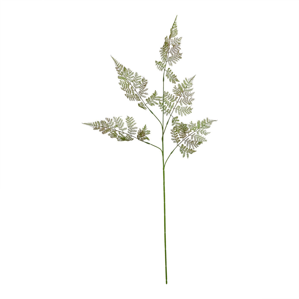 Natural Garden Collection Large Bracken Fern Spray - Green