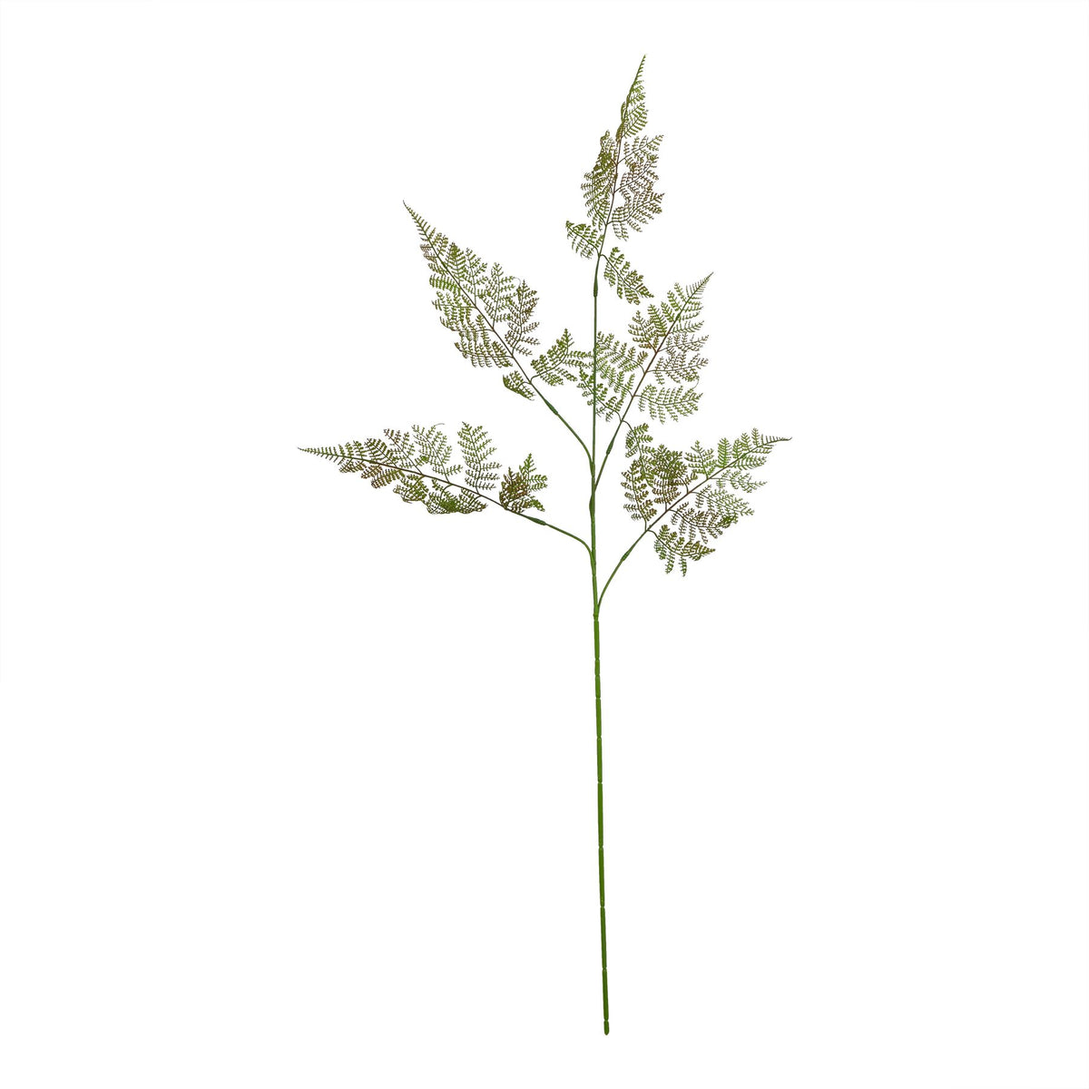 Natural Garden Collection Large Bracken Fern Spray