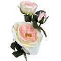 Natural Garden Collection Pink Charity Rose