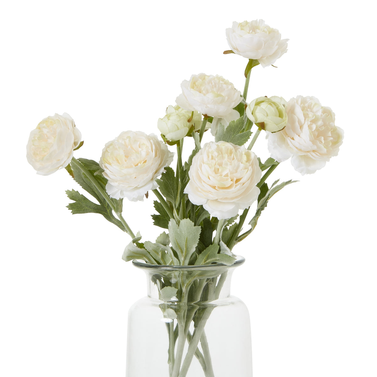 Natural Garden Collection Apricot Ranunculus - Pink