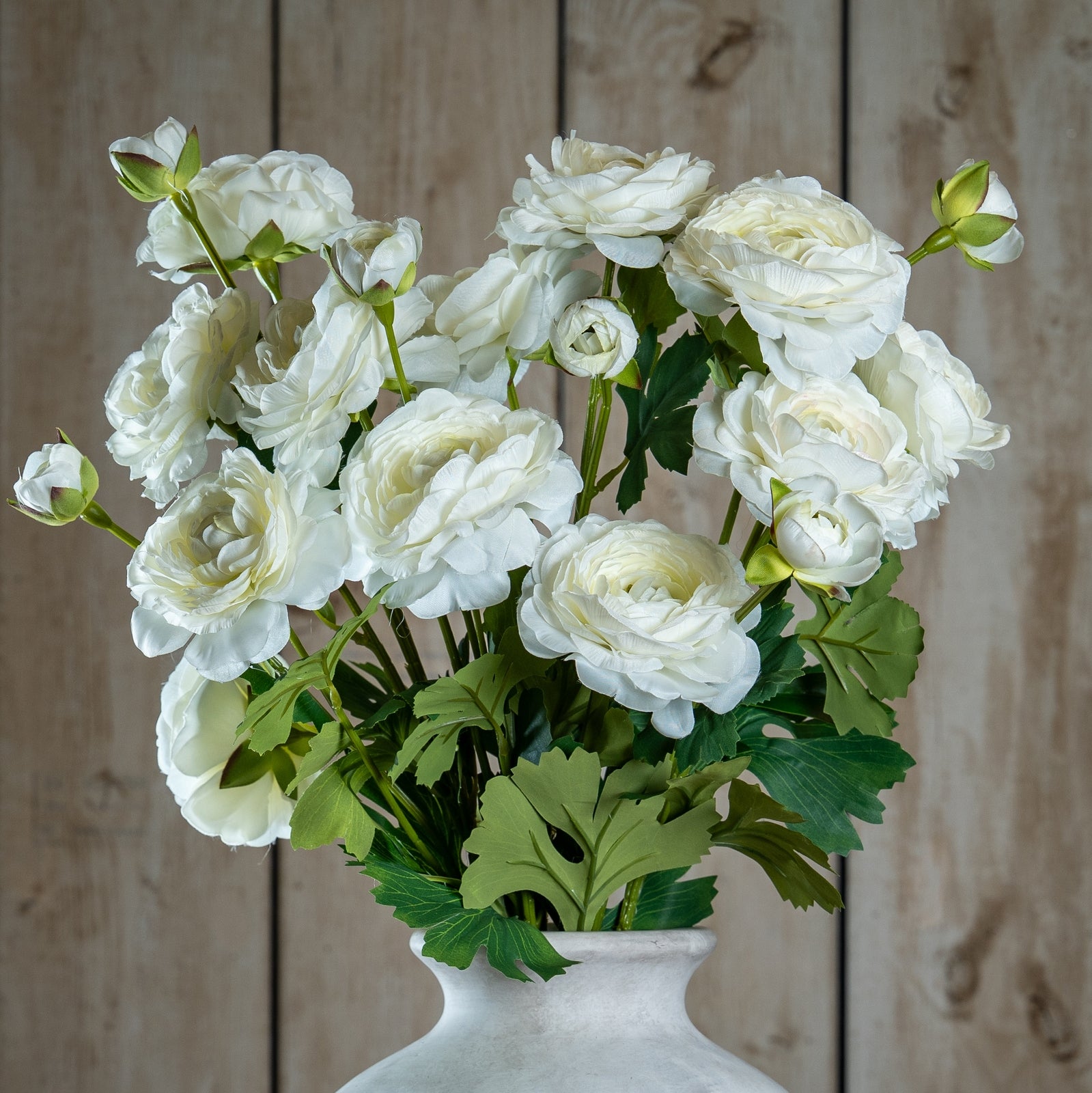 Natural Garden Collection Apricot Ranunculus