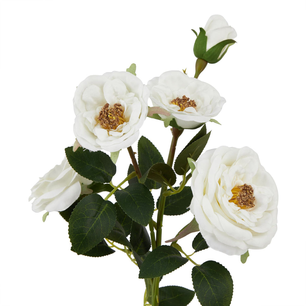 Natural Garden Collection White Hedge Rose Stem