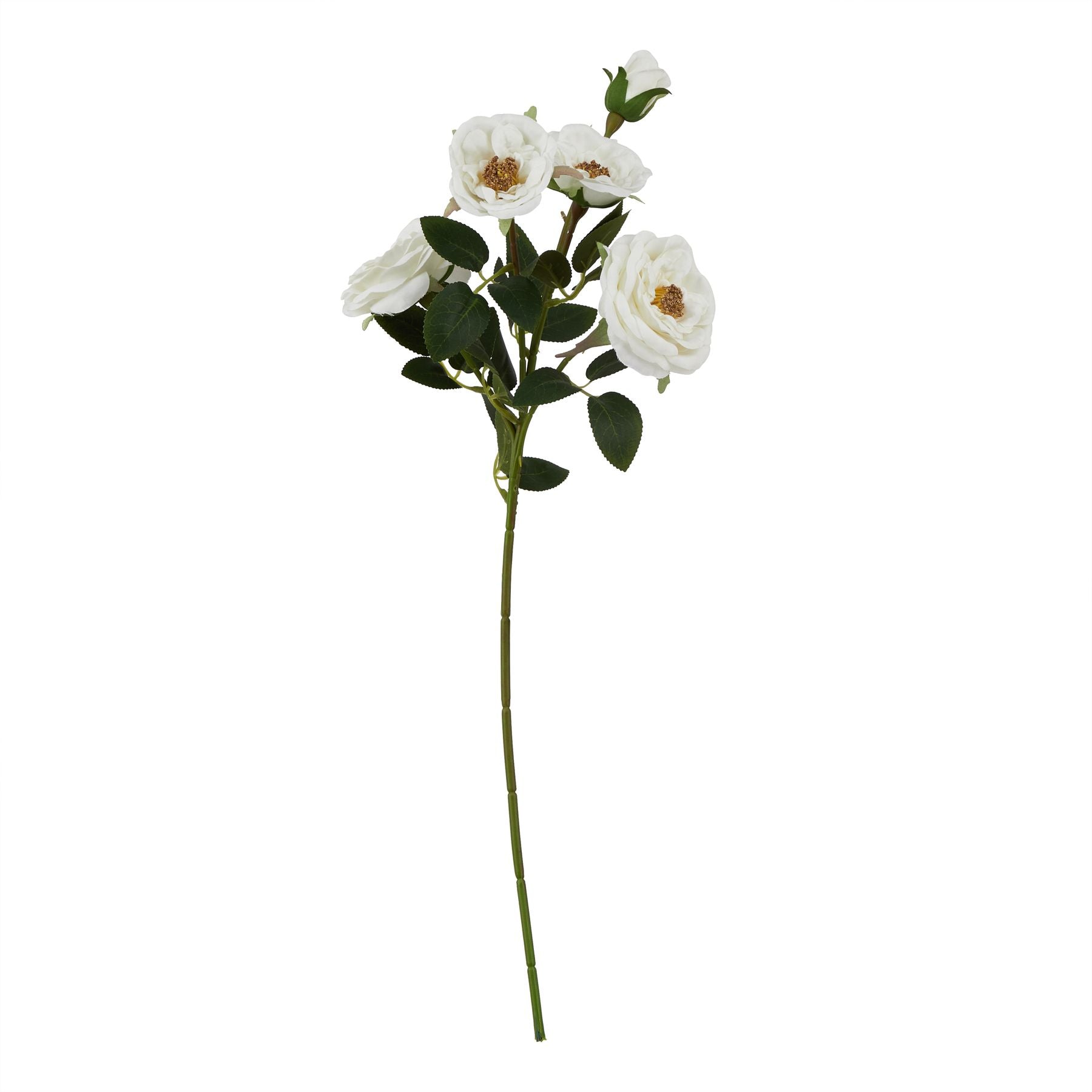 Natural Garden Collection White Hedge Rose Stem