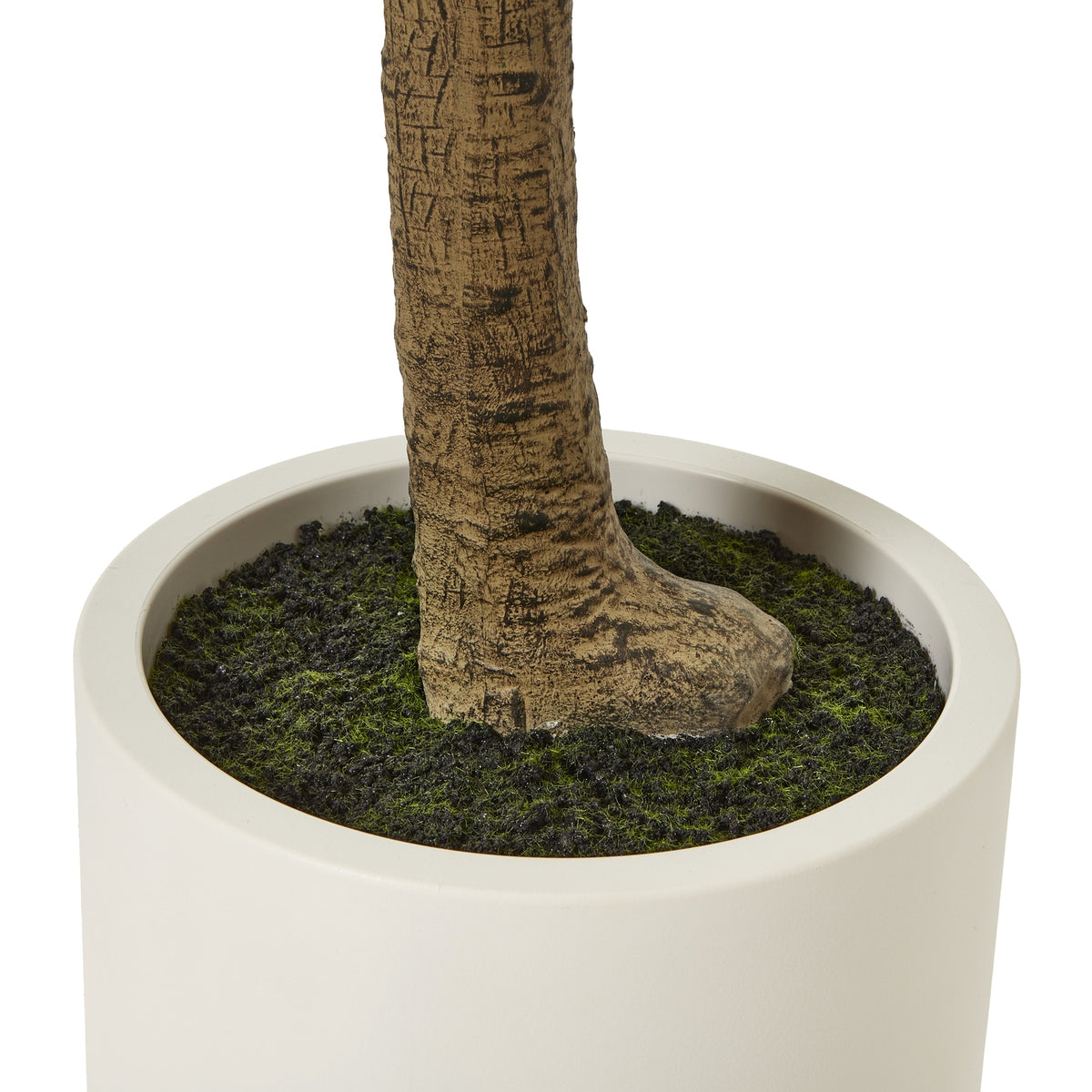 Apulia Olive Tree In White Pot 240Cm - Brown