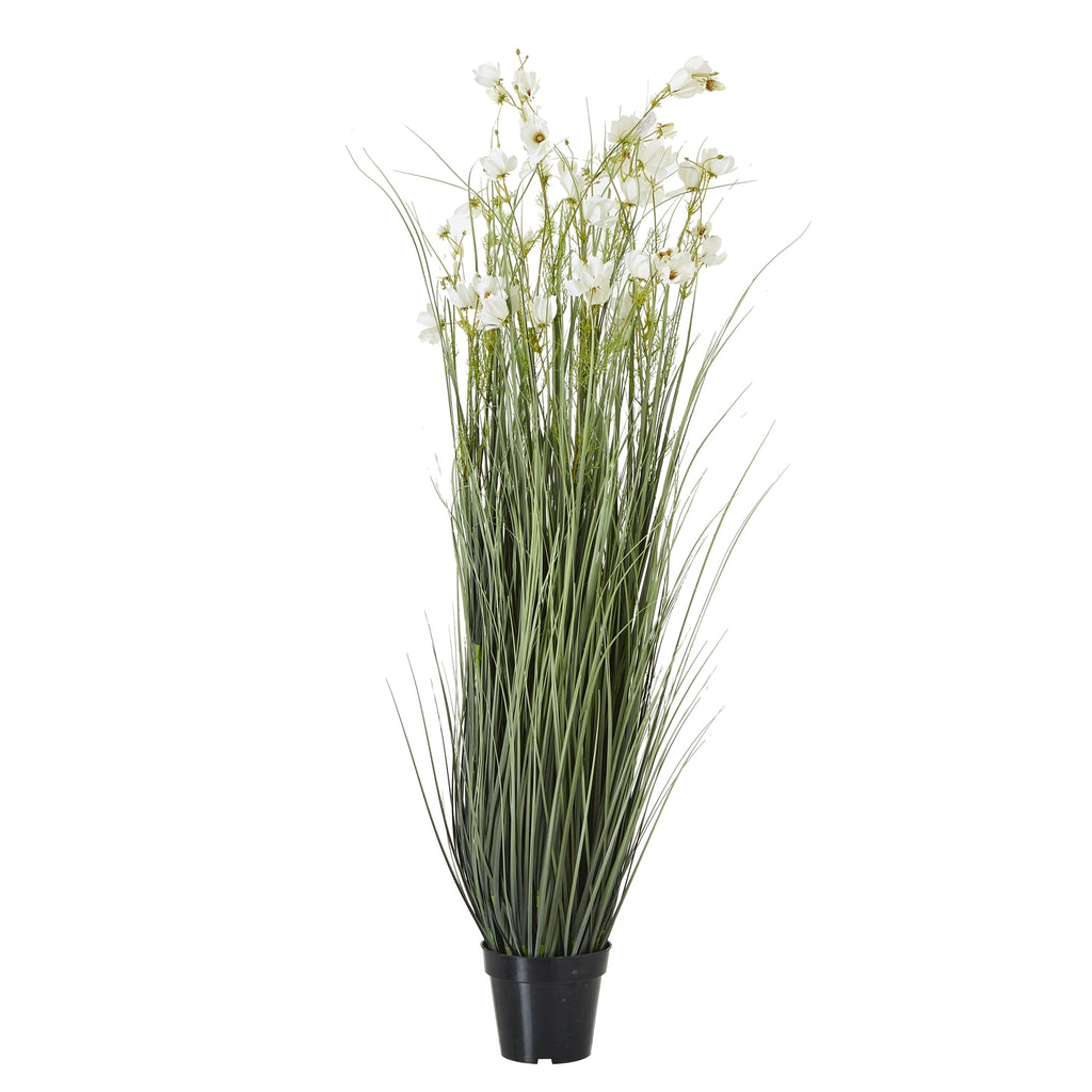 Large White Meadow Plant In Pot - White