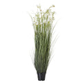 Large White Meadow Plant In Pot - White