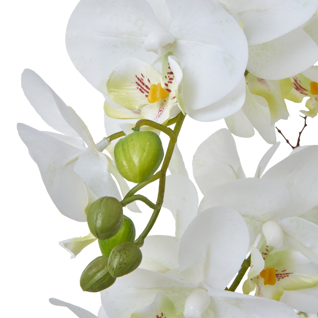 Large White Orchid In Ceramic Pot - White
