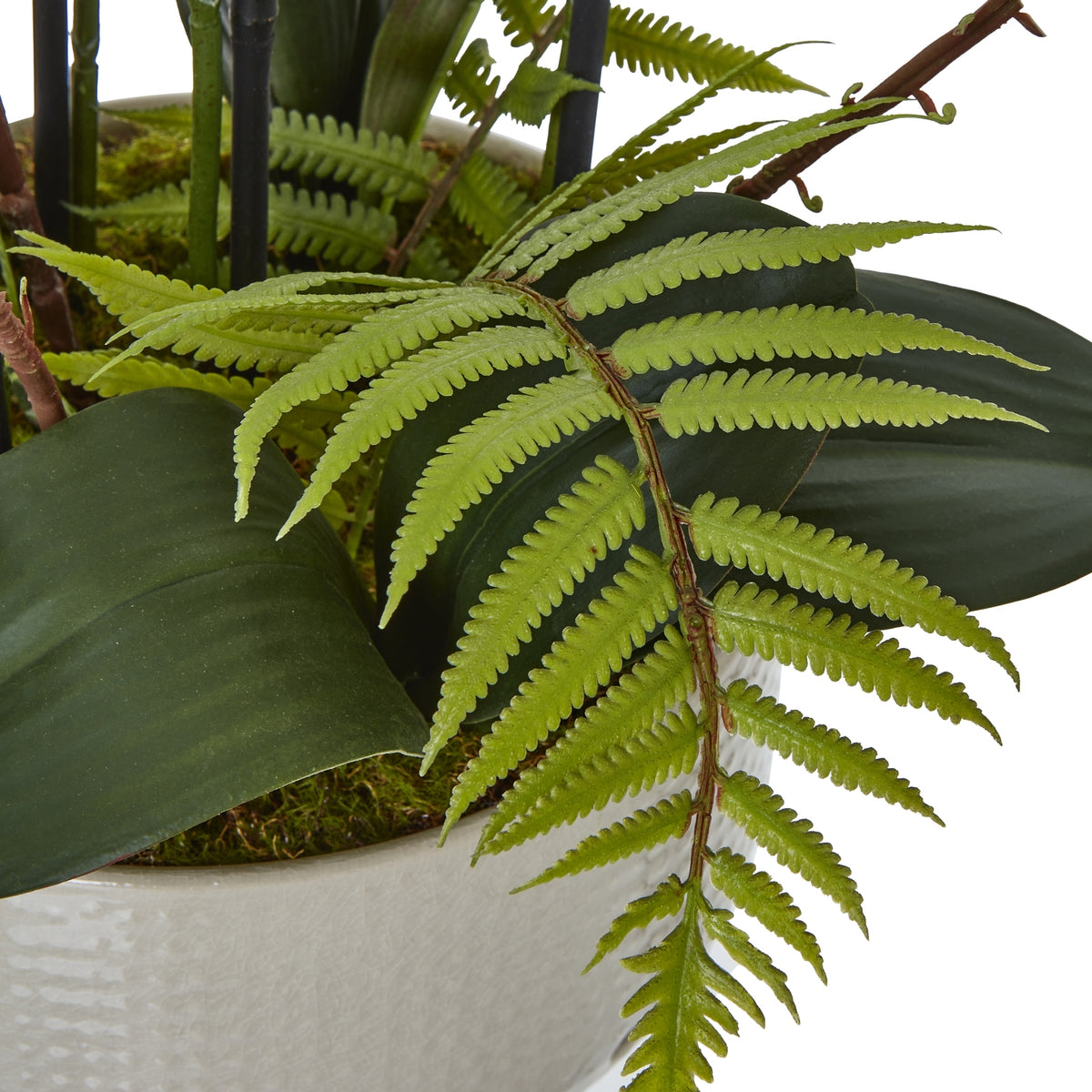 Large White Orchid In Ceramic Pot - White