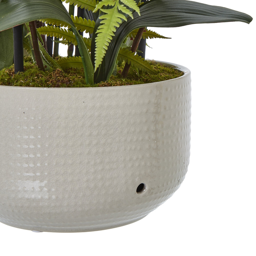 Large White Orchid In Ceramic Pot - White