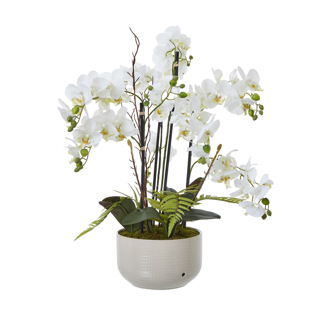 Large White Orchid In Ceramic Pot - White