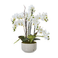 Large White Orchid In Ceramic Pot - White