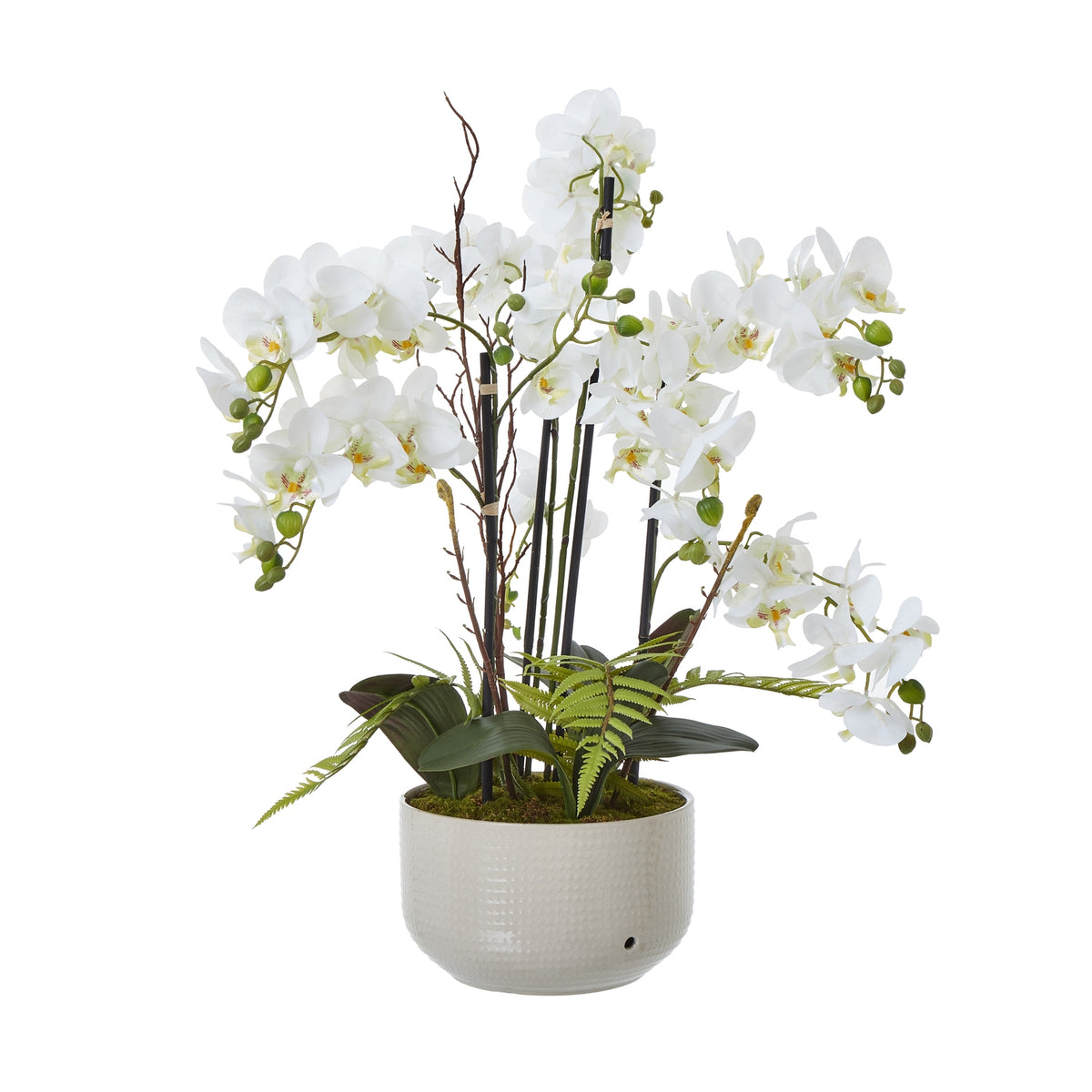 Large White Orchid In Ceramic Pot - White