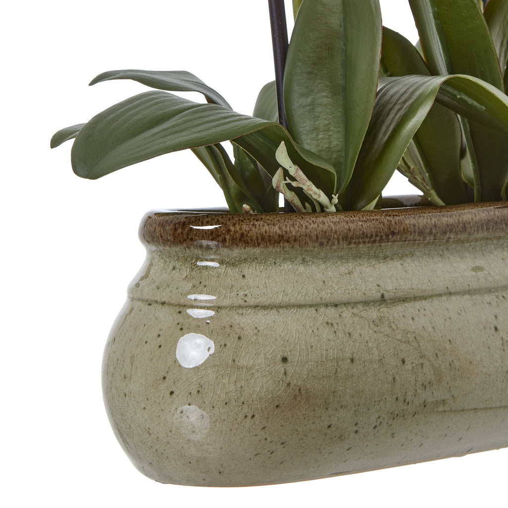 Large Green Orchid In Ceramic Pot - Green