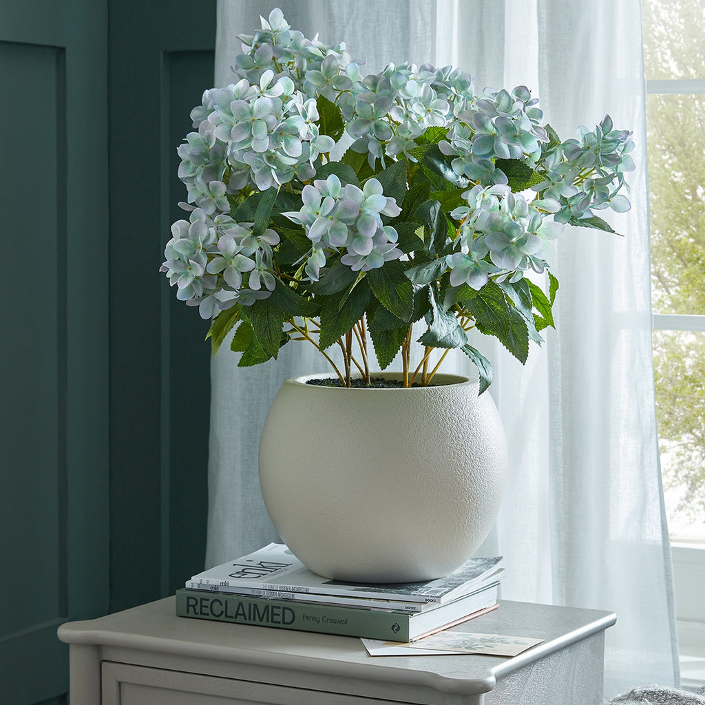 Green Hellebore Plant In Taupe Pot - Green