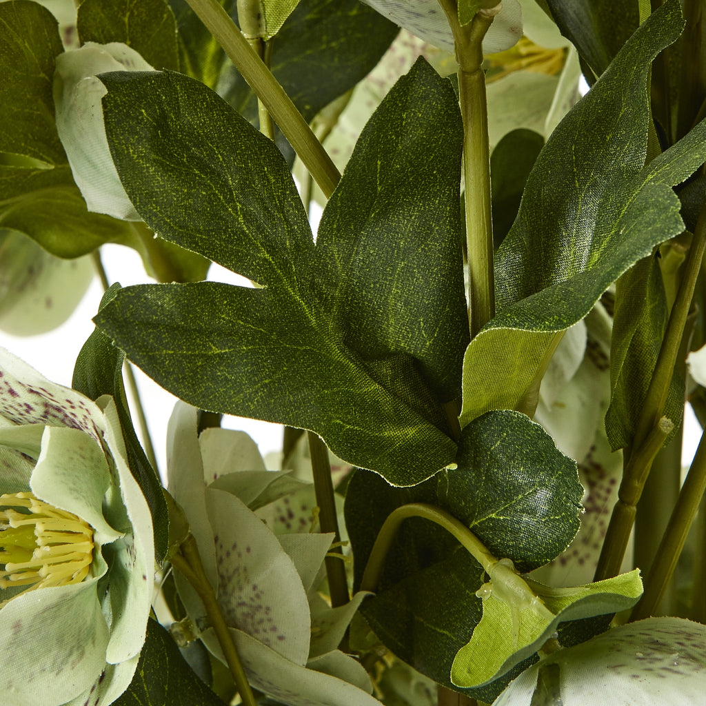 Large Green Hellebore In Taupe Pot - Green