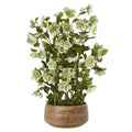 Large Green Hellebore In Taupe Pot - Green