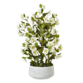 Large White Hellebore In Grey Pot - White