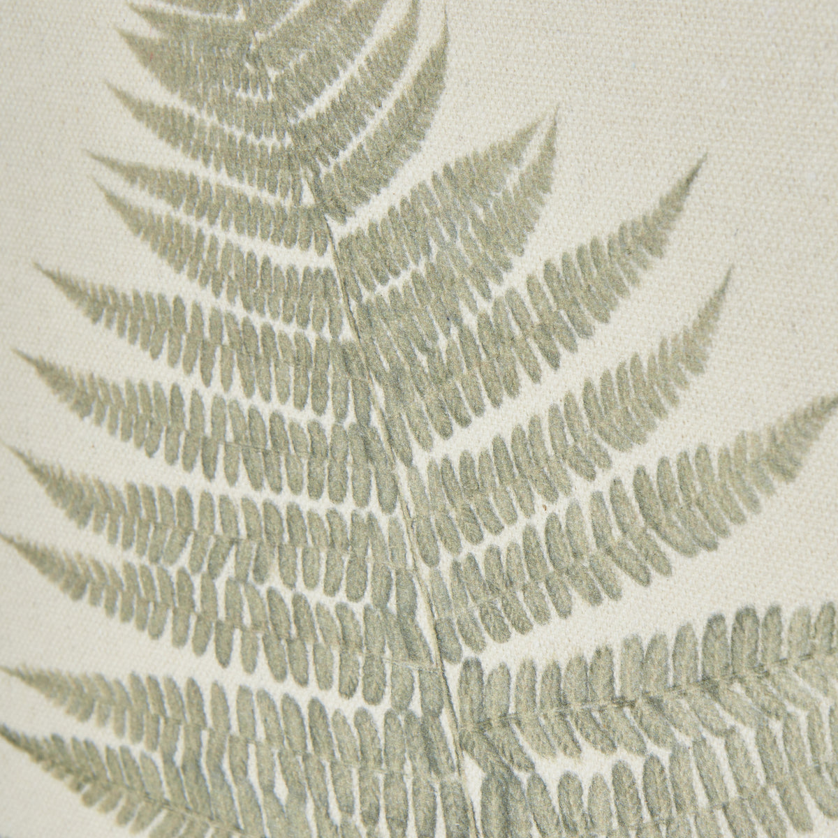 Bracken Art On Texture-Torn Paper with Beaded Frame