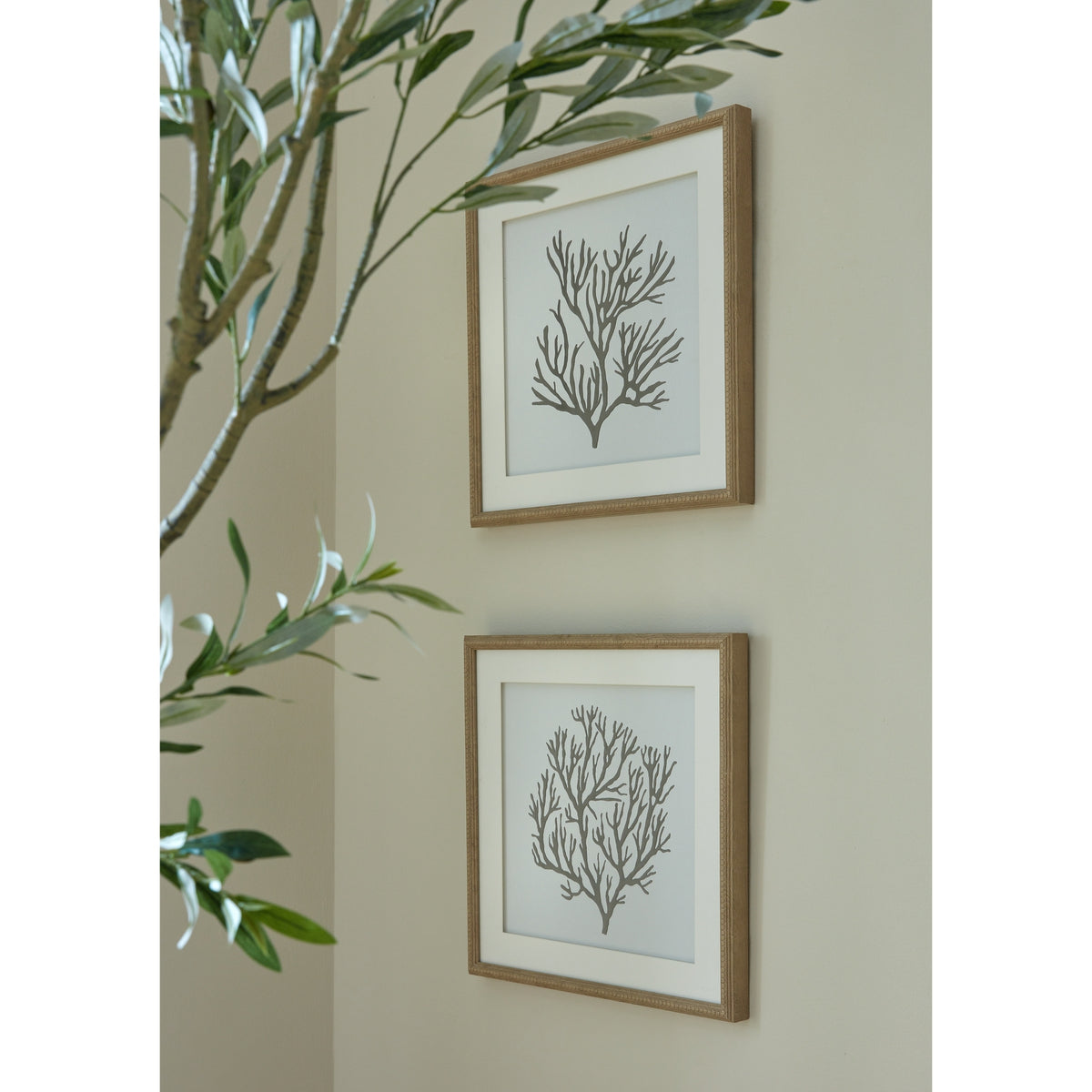 Atol Coral Art Mounted In Beaded Frame - Brown