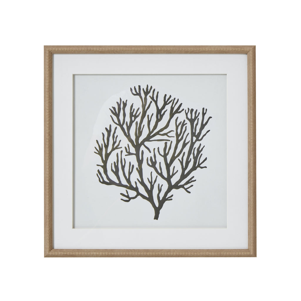 Atol Coral Art Mounted In Beaded Frame - Brown
