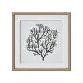 Atol Coral Art Mounted In Beaded Frame - Brown