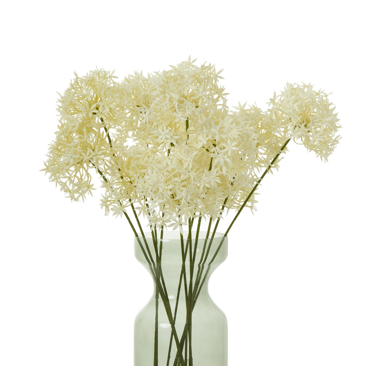 Cream Allium Spray
