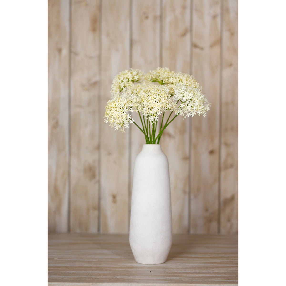 Cream Allium Spray