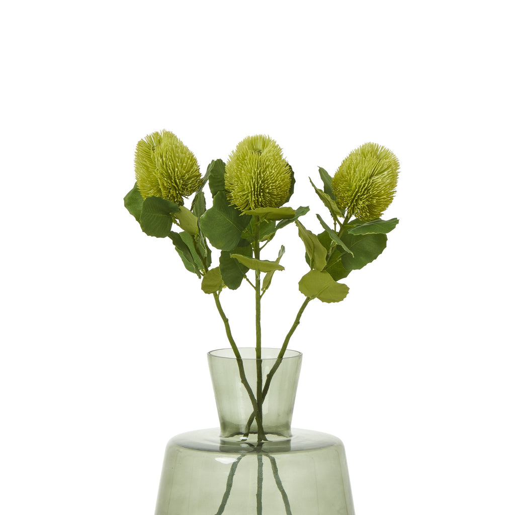 Green Banksia Stem - Green