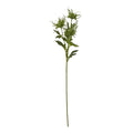 Green Sea Holly Spray