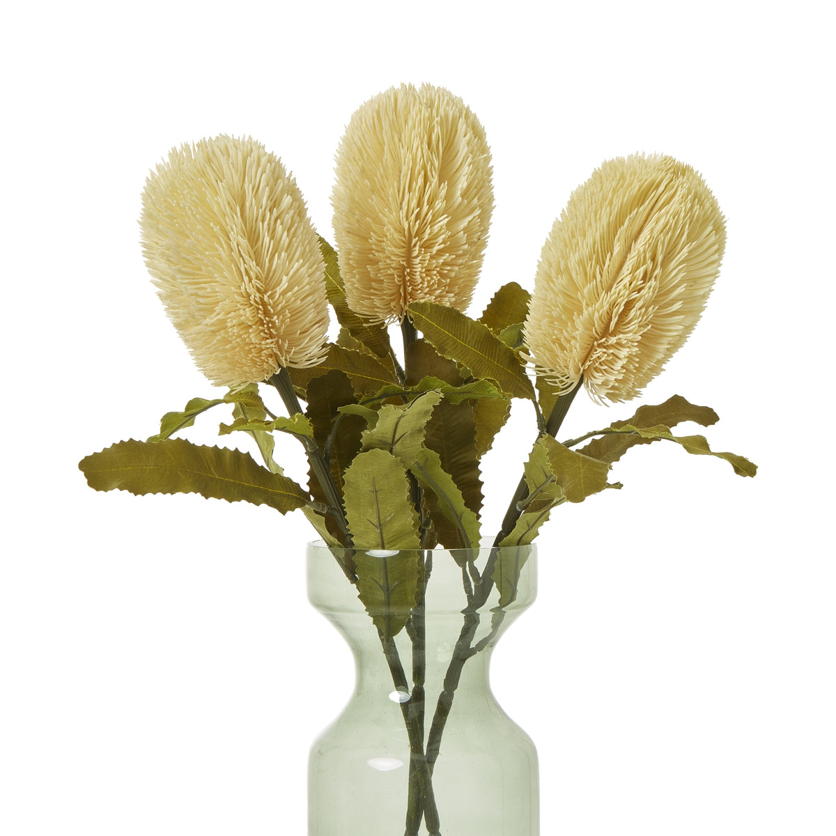 Large Cream Banksia Serrata Stem - Cream
