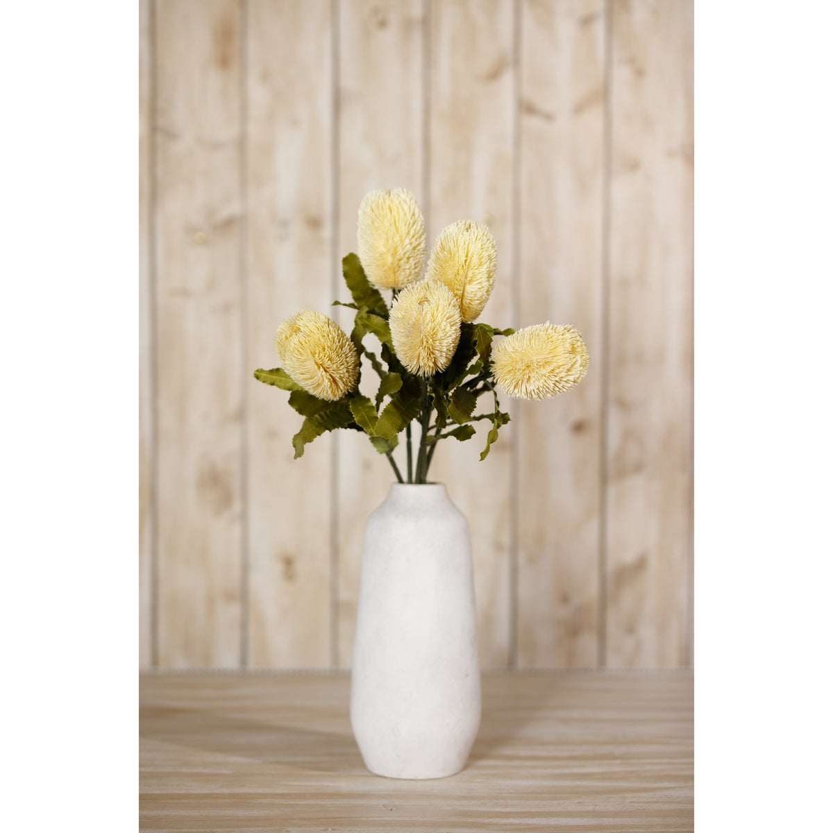 Large Cream Banksia Serrata Stem - Cream