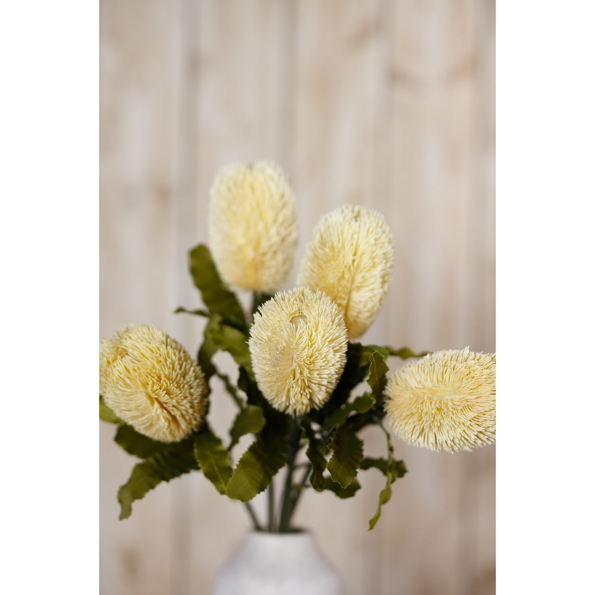 Large Cream Banksia Serrata Stem - Cream